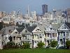 Painted Ladies