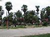 Picture of Quillota