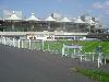 Picture of Sandown Park Racecourse